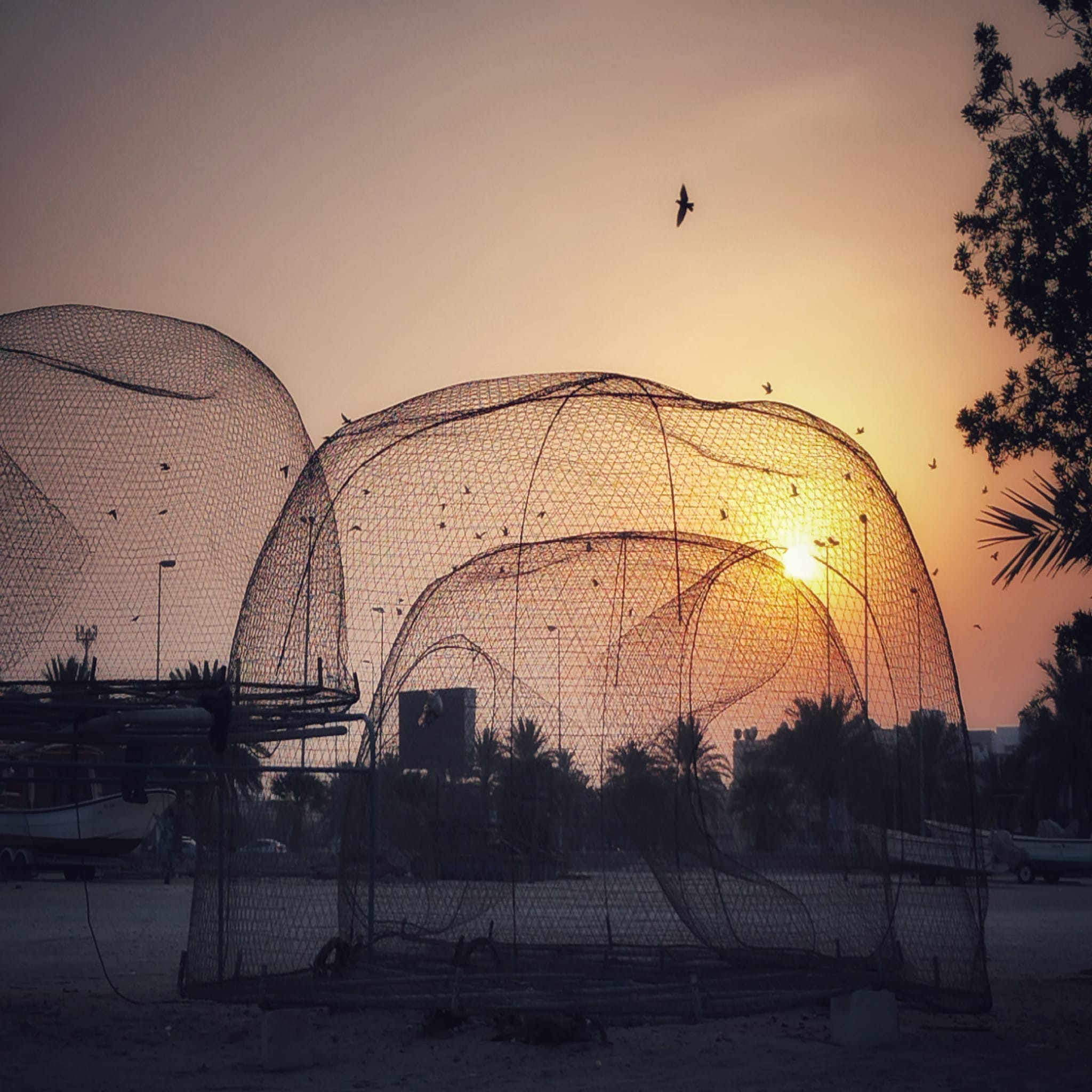 Fish traps at sunset