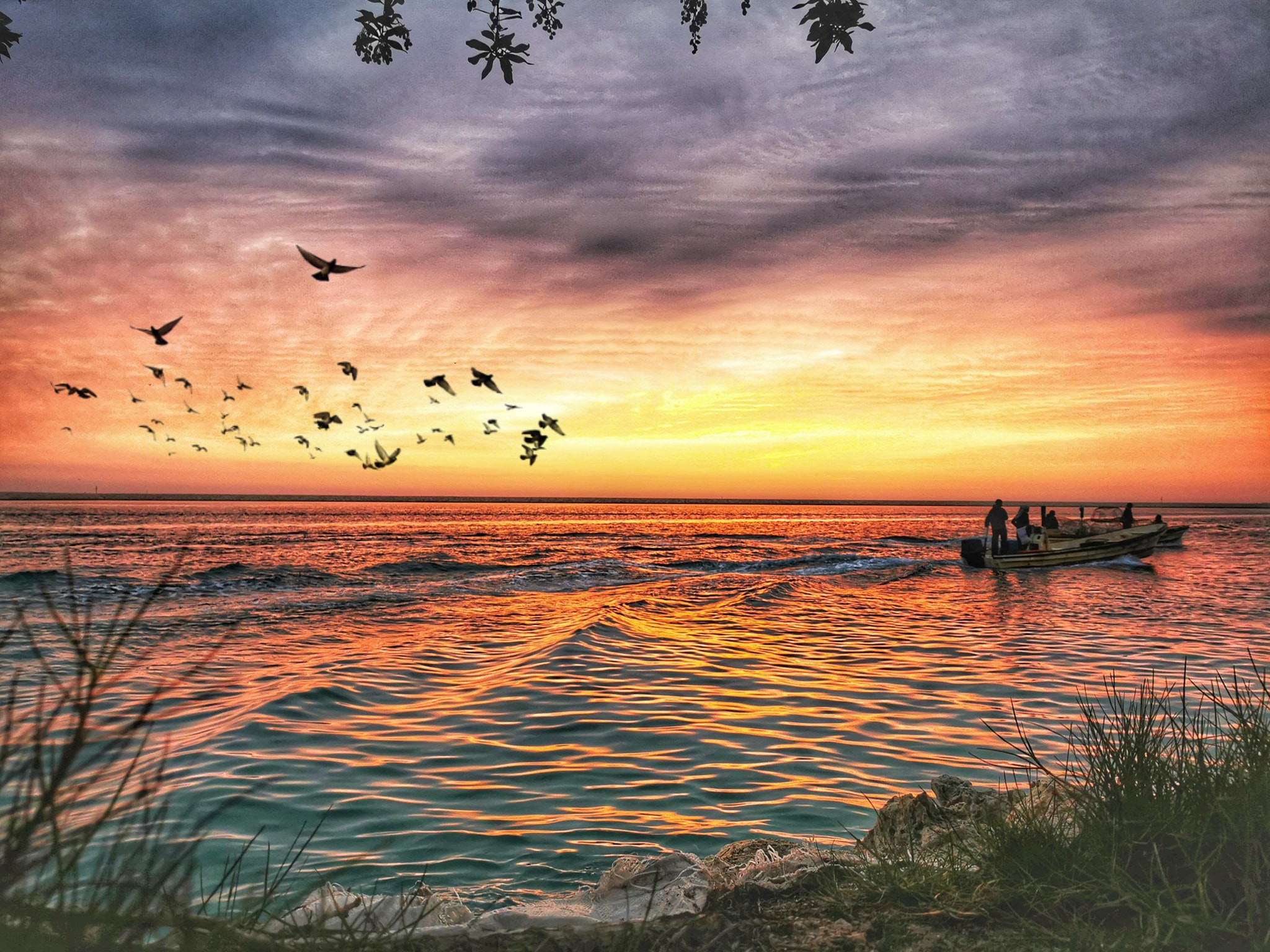 Birds flying over water at sunset with boat